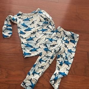 Posh Peanut Pajamas Boys size 2 / 2T sharks